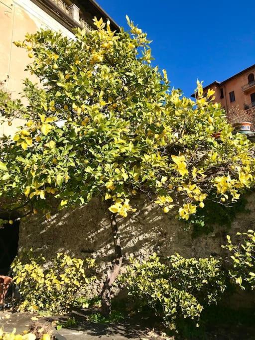 Villa Livia La Spezia Extérieur photo